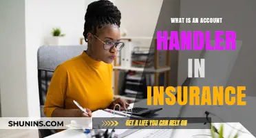 Account Handlers: Insurance Policy Experts