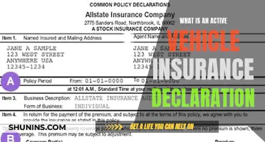 Vehicle Insurance Declaration: What's Active?