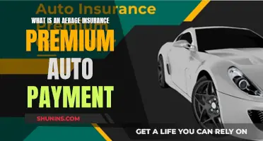 Understanding Auto Insurance Premium Payment Options and Averages