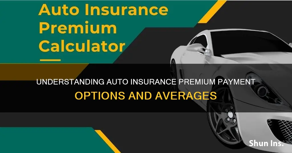 what is an aerage insurance premium auto payment