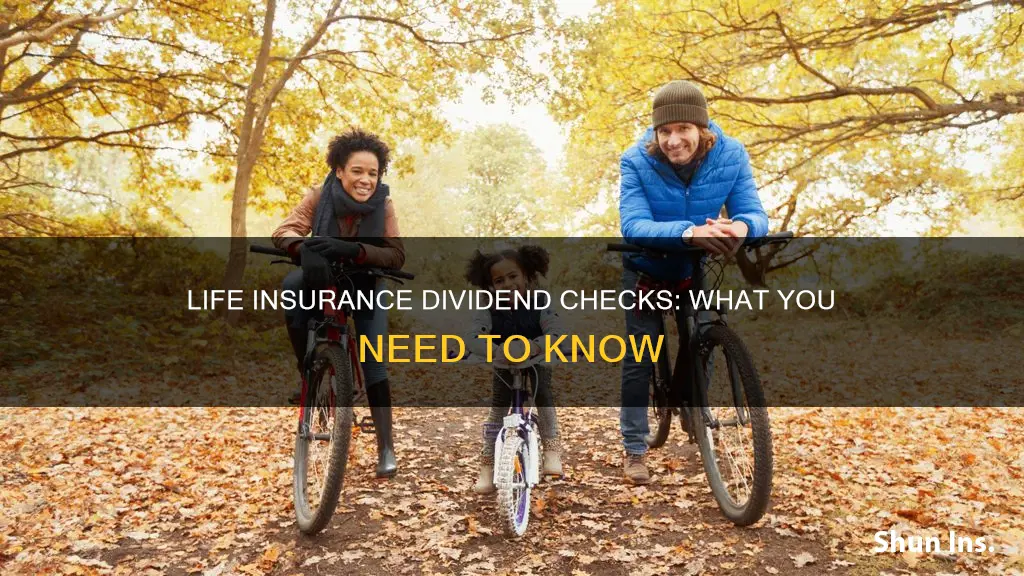 what is an annual life insurance dividend check