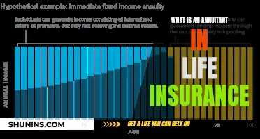 Who is an Annuitant? Understanding Life Insurance Basics