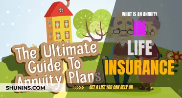 Annuities: Life Insurance's Long-term Payout Option Explained