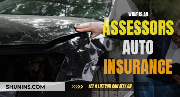 Assessors' Auto Insurance: What You Need to Know