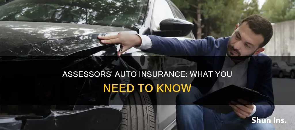 what is an assessors auto insurance