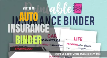 Auto Insurance Binder: Temporary Proof of Coverage