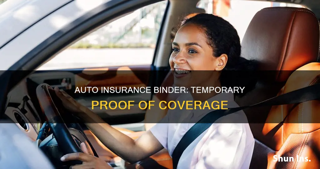 what is an auto insurance binder