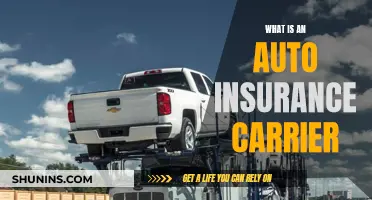 Auto Insurance Carrier: What You Need to Know