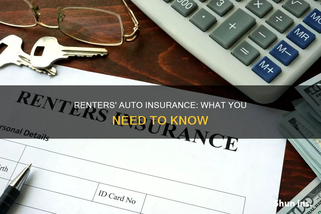 what is an auto insurance renters policy