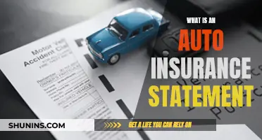 Understanding Auto Insurance Statements: What You Need to Know