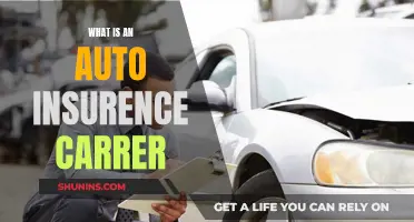 Auto Insurance Careers: Opportunities and Challenges