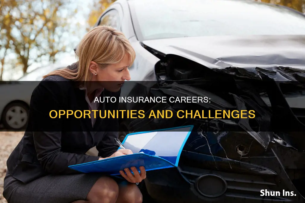 what is an auto insurence carrer