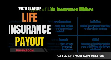 Life Insurance: Understanding Average Payouts