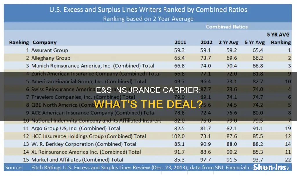 what is an e&s insurance carrier