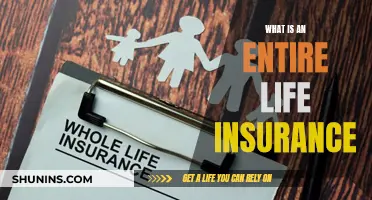 Life Insurance: Comprehensive Cover for Peace of Mind