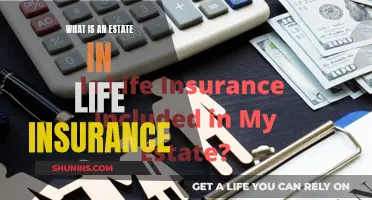 Understanding Estates: Life Insurance Basics