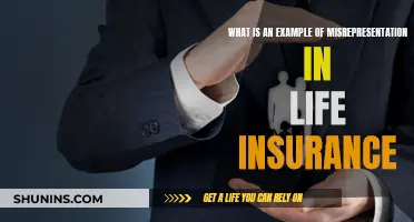 Misrepresentation in Life Insurance: Understanding the Fine Print