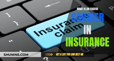 Understanding Excess Insurance Carriers