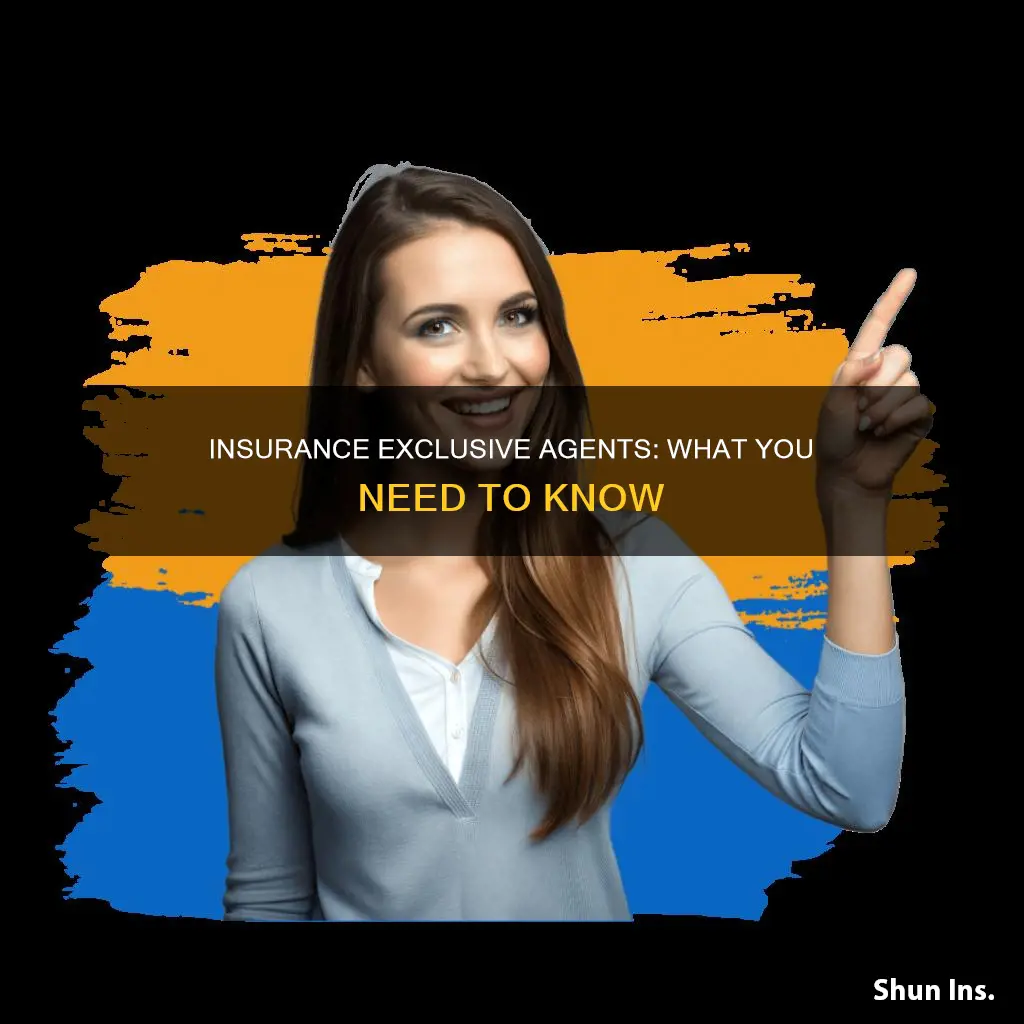 what is an exclusive agent for insurance