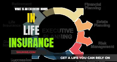 Executive Bonus: A Life Insurance Incentive