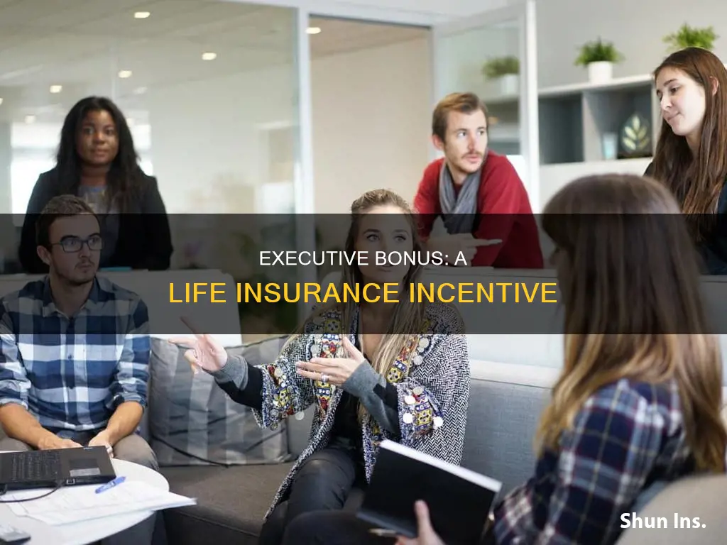 what is an executive bonus in life insurance