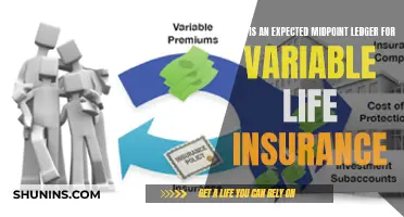 Understanding Variable Life Insurance Midpoint Ledgers