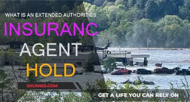 Understanding Extended Authorities: Insurance Agent Hold