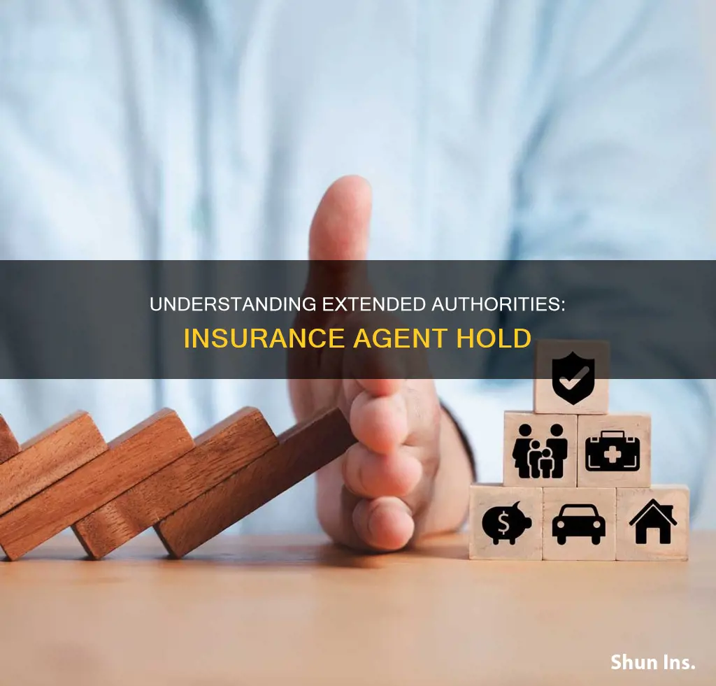 what is an extended authorities insurance agent hold