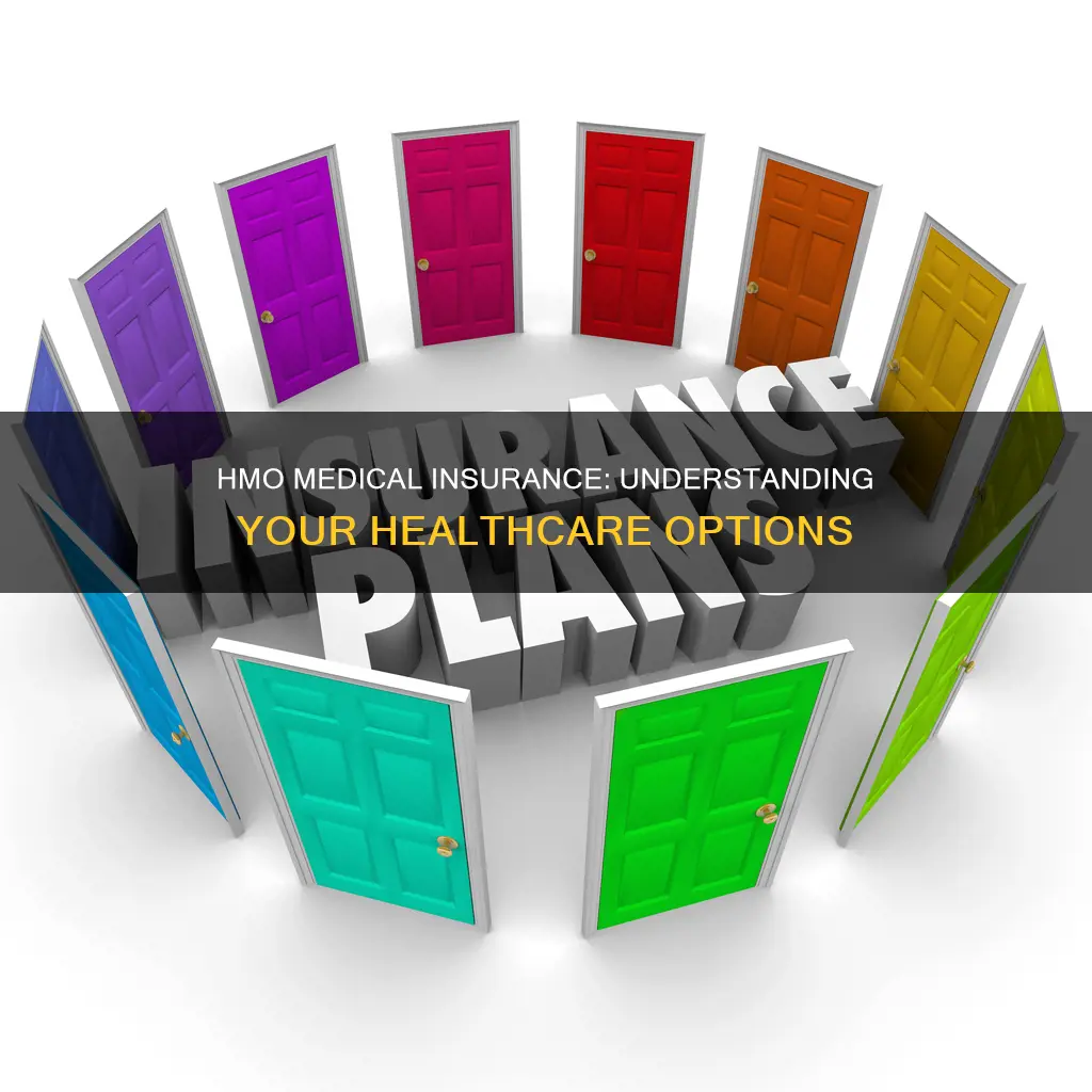 what is an hmo medical insurance plan