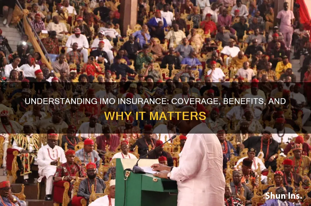 what is an imo insurance