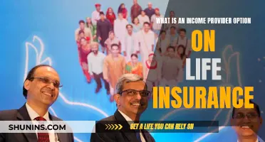 Income Provider Option: Life Insurance's Financial Safety Net