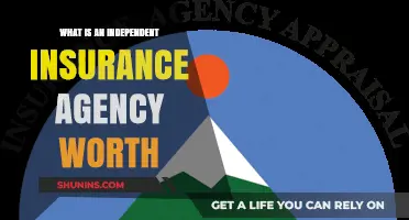Understanding the Value of Independent Insurance Agencies
