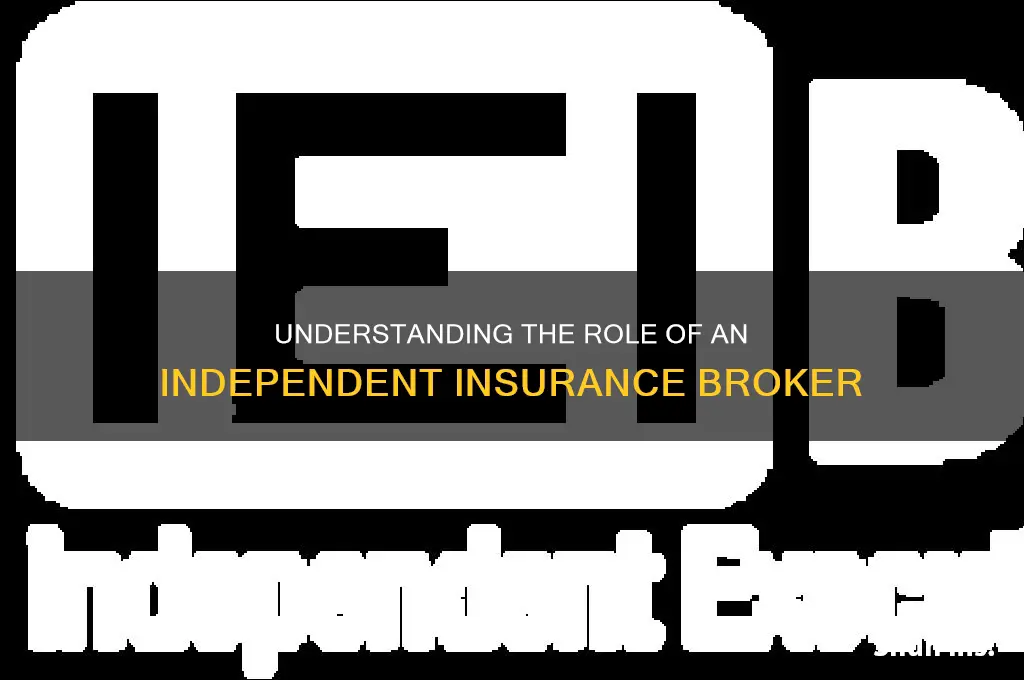what is an independent insurance broker
