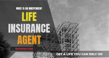 Independent Life Insurance Agents: What You Need to Know