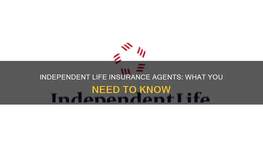 what is an independent life insurance agent