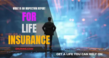 Life Insurance Inspection Reports: What You Need to Know