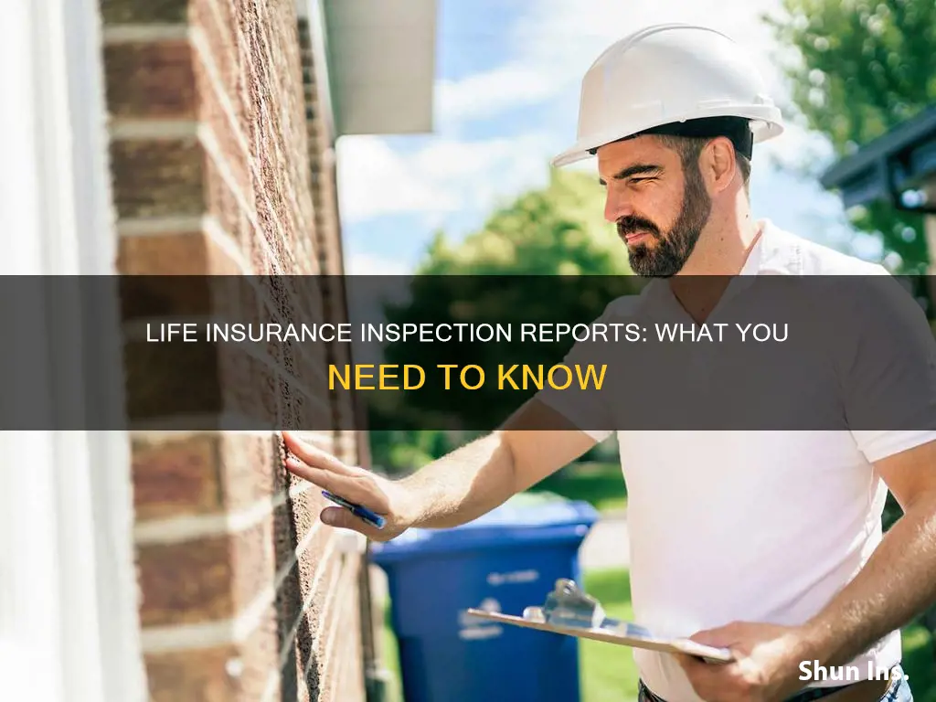 what is an inspection report for life insurance