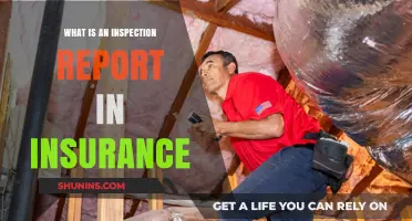Inspection Reports: Insurance Claims and Assessments