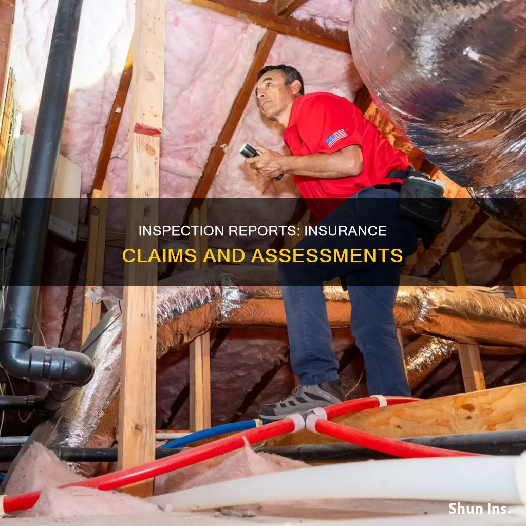 what is an inspection report in insurance