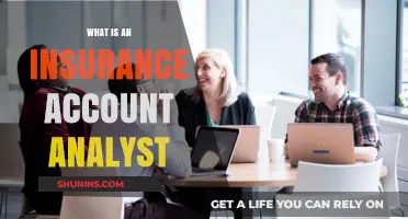 Insurance Account Analyst: A Vital Role Explained