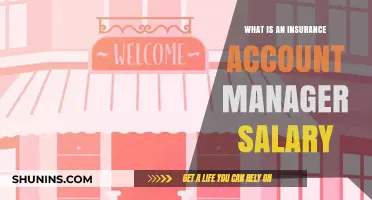 Lucrative Insurance Account Manager Roles: Salary Insights