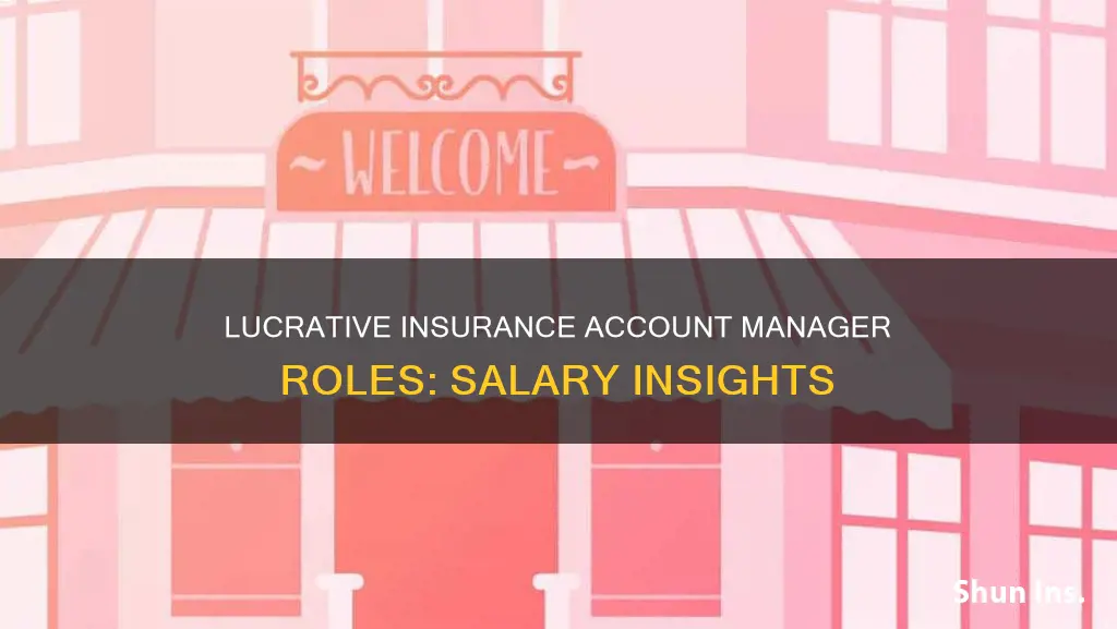 what is an insurance account manager salary