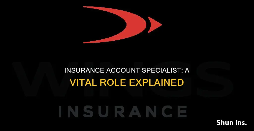 what is an insurance account specialist