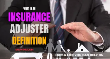 The Role of an Insurance Adjuster: Unraveling the Definition and Their Key Responsibilities