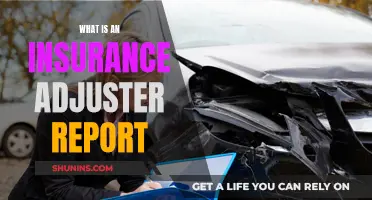 Understanding the Insurance Adjuster's Report: A Comprehensive Guide