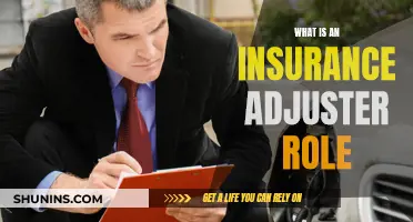 Unraveling the Insurance Adjuster's Role: A Comprehensive Guide