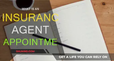 Insurance Agent Appointments: How to Get Started