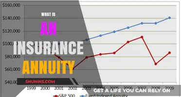 Understanding Insurance Annuities: A Guide to Secure Retirement Income