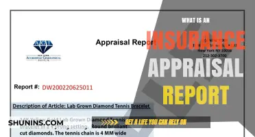 Understanding Insurance Appraisal Reports: What, Why, and How?