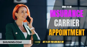 Insurance Carrier Appointment: How to Get Started